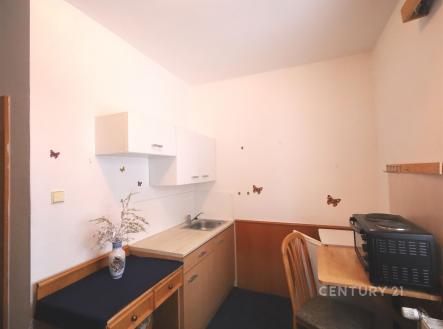 Pronájem bytu, 1+kk, 15 m²