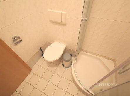 Pronájem bytu, 1+kk, 15 m²