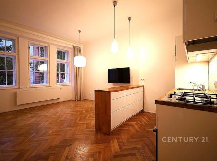 Pronájem bytu, 4+kk, 90 m²