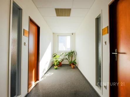 Pronájem kanceláře, 320 m²