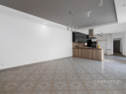 Prodej domu/vily, 275 m²