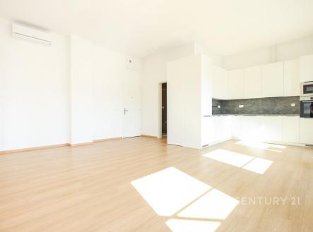 Pronájem bytu, 2+kk, 61 m²