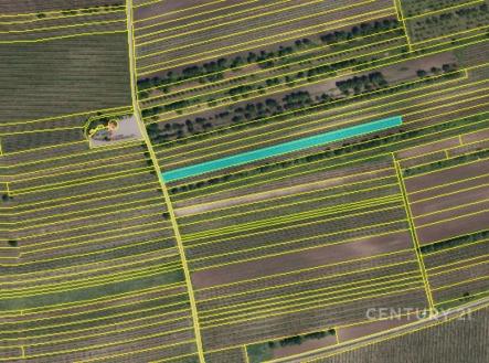 Prodej pozemku, zemědělská půda, 12 372 m²