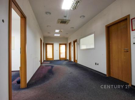 Pronájem výrobní prostor, 897 m²