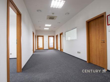 Pronájem výrobní prostory, 897 m²