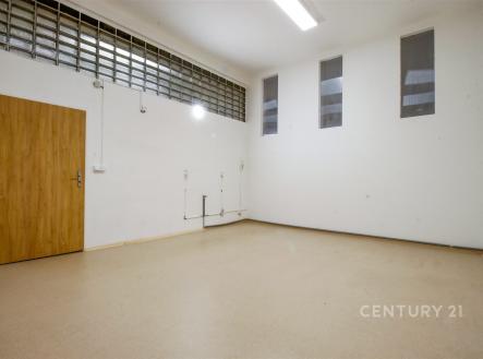 Pronájem kanceláře, 262 m²