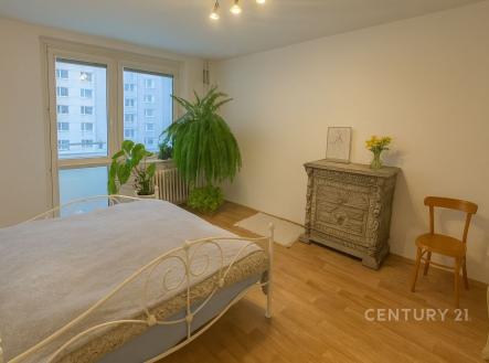 Pronájem bytu, 1+1, 41 m²