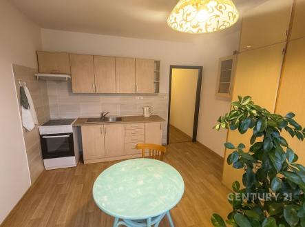 Pronájem bytu, 1+1, 41 m²