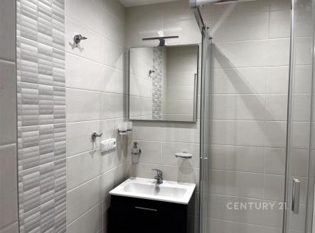 Pronájem bytu, 1+1, 41 m²