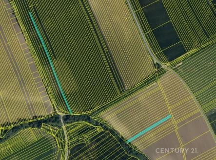 Prodej pozemku, zemědělská půda, 21 796 m²