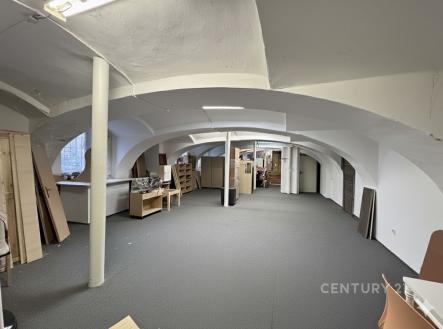 Pronájem obchodní prostor, 256 m²