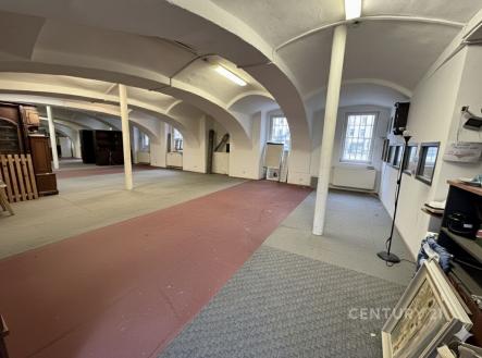 Pronájem obchodní prostor, 256 m²