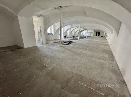 Pronájem obchodní prostor, 256 m²