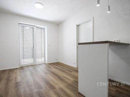 Pronájem bytu, 2+kk, 46 m²