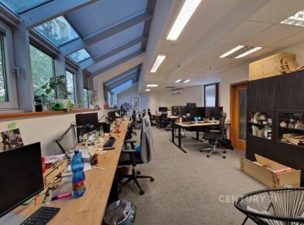 Pronájem kanceláře, 239 m²