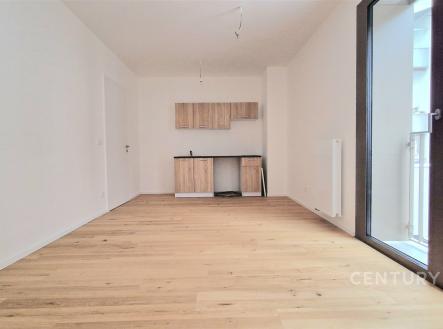 Pronájem bytu, 2+kk, 42 m²