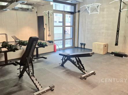 Pronájem bytu, 2+kk, 42 m²