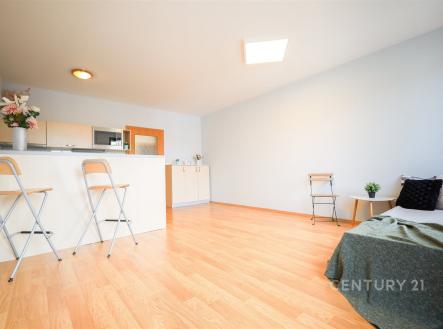 Pronájem bytu, 1+kk, 39 m²