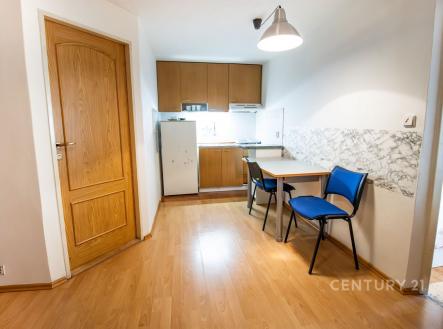 Pronájem bytu, 1+kk, 40 m²