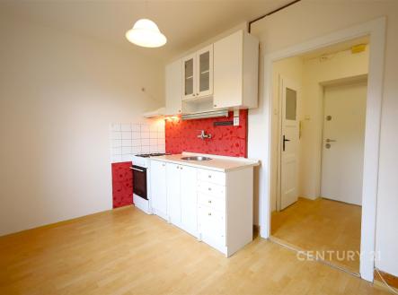 Pronájem bytu, 1+1, 29 m²