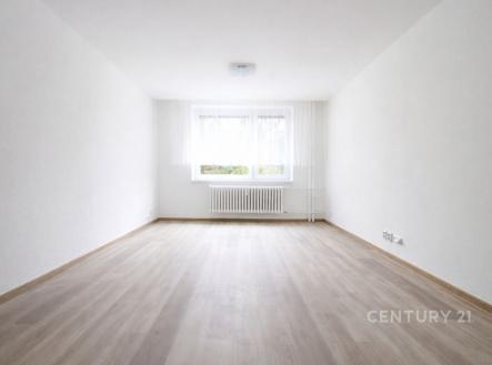 Pronájem bytu, 1+1, 42 m²
