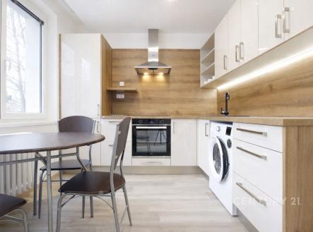 Pronájem bytu, 1+1, 42 m²