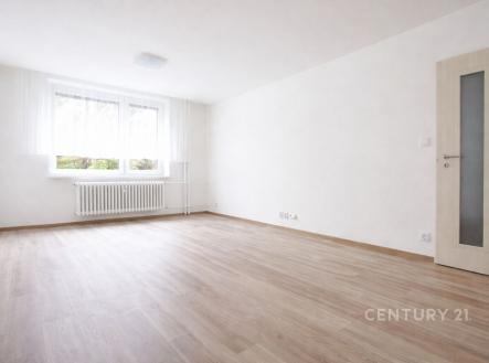 Pronájem bytu, 1+1, 42 m²