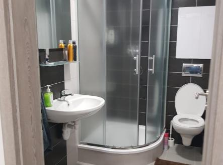 Pronájem bytu, 1+kk, 21 m²