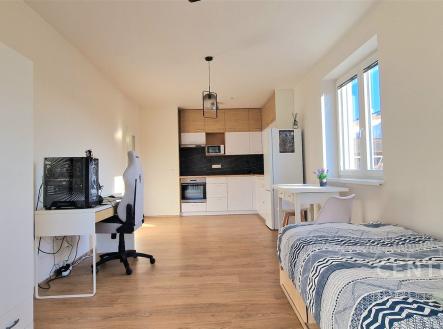 Pronájem bytu, 1+kk, 37 m²