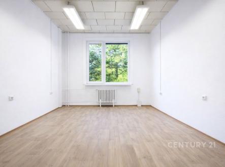 Pronájem kanceláře, 16 m²