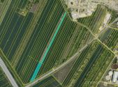 Prodej pozemku, zemědělská půda, 12 372 m²