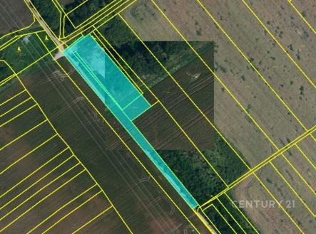Prodej pozemku, zemědělská půda, 10 318 m²