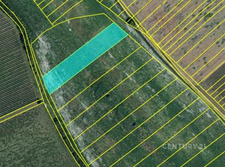 Prodej pozemku, zemědělská půda, 10 318 m²