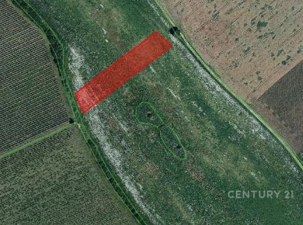 Prodej pozemku, zemědělská půda, 10 318 m²