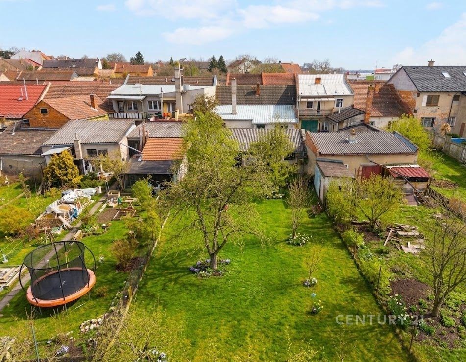 Zahrada s udržovaným trávníkem, vzrostlými stromy a trampolínou, obklopená zděnými domy s různorodou architekturou ve vesnickém prostředí.