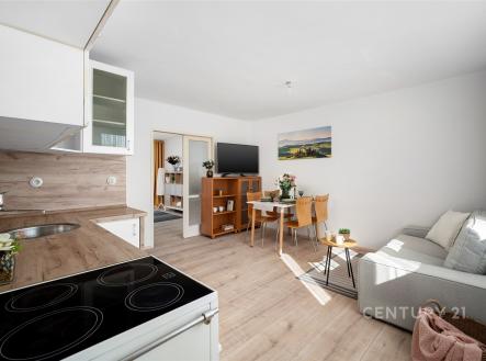 Prodej bytu, 3+kk, 58 m²