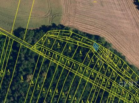 Prodej pozemku, les, 921 m²