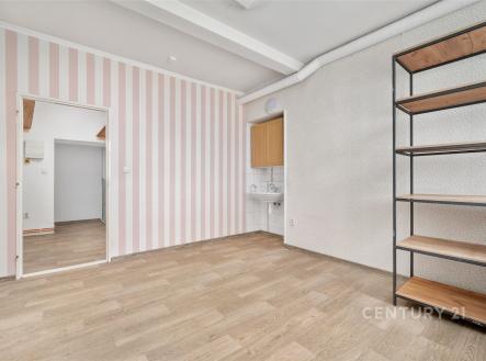 Pronájem obchodní prostor, 76 m²