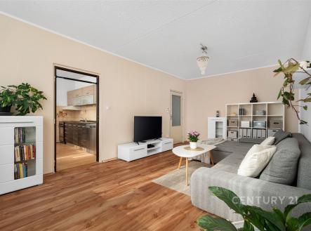 Prodej bytu, 3+1, 80 m²