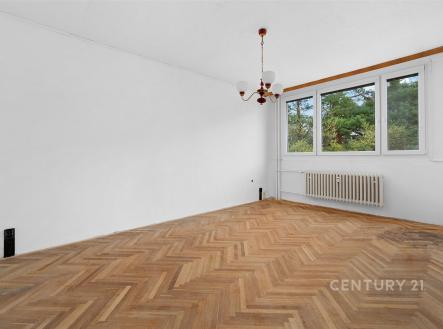 Prodej bytu, 3+1, 66 m²