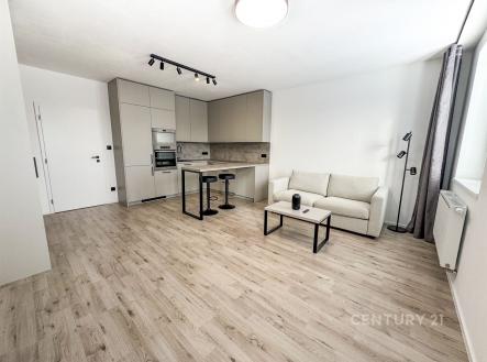 Pronájem bytu, 1+kk, 36 m²