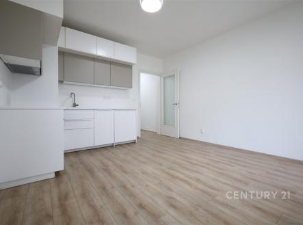 Pronájem bytu, 1+kk, 27 m²