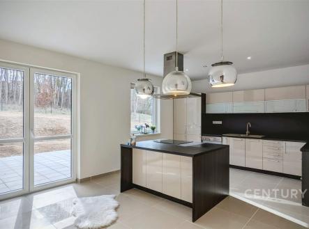 Prodej domu/vily, 320 m²