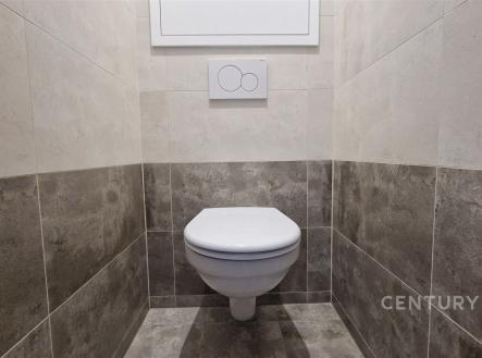 Pronájem bytu, 2+1, 54 m²