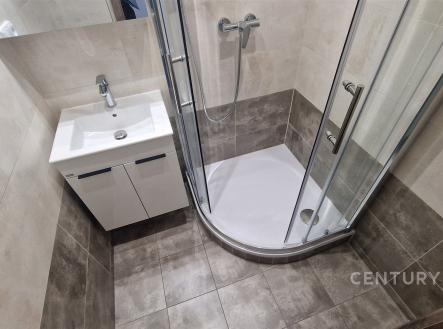 Pronájem bytu, 2+1, 54 m²