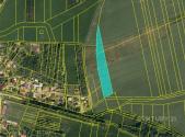 Prodej pozemku, zemědělská půda, 6 619 m²