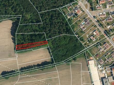 Prodej pozemku, les, 10 362 m²