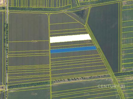 Prodej pozemku, zemědělská půda, 5 406 m²