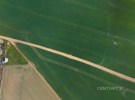 Prodej pozemku pro bydlení, 3 119 m²