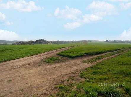 Prodej pozemku pro bydlení, 3 119 m²